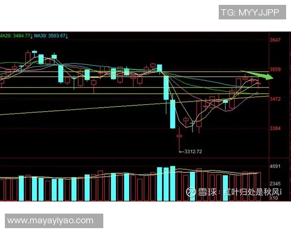 西安足球队与武汉足球队赛后复盘分析比赛节奏与战术表现