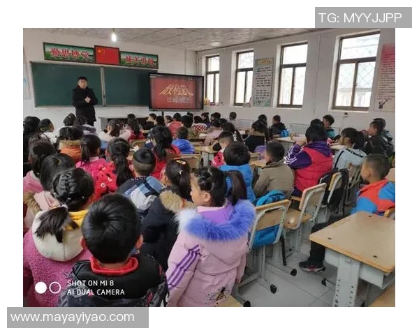 韩国拳坛的姚明崛起之路与未来发展展望